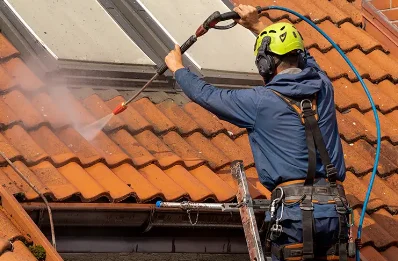 Démoussage et hydrofuge de toiture à Esquiule